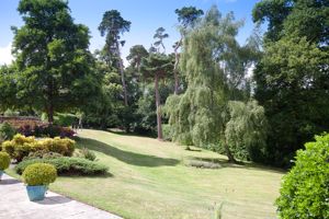 Garden- click for photo gallery